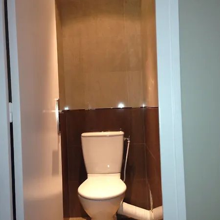 Hotel Les Trois Roses, Grenoble 4*