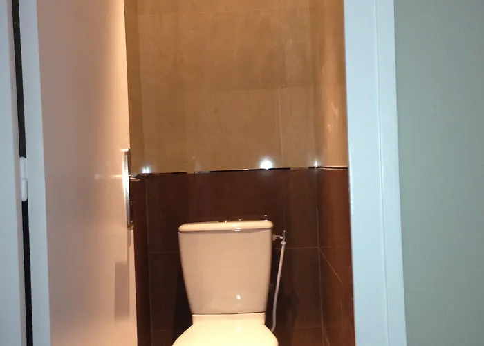 ホテル Les Trois Roses, Grenoble 4*