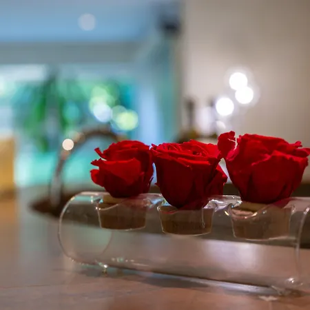 Les Trois Roses, Grenoble Hotel 4*