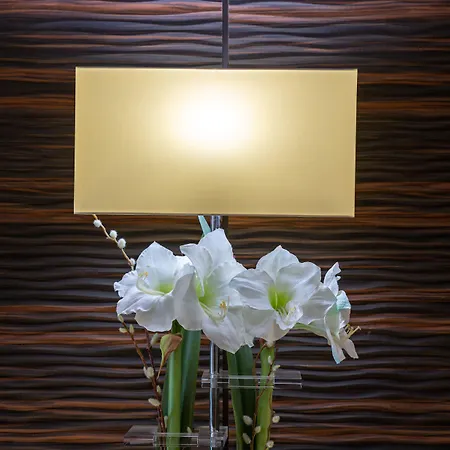Les Trois Roses, Grenoble Hotel 4*